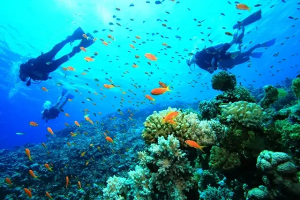 Kusadasi Diving