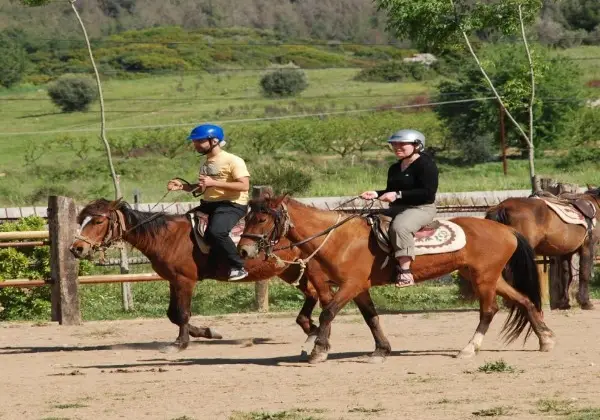 Özdere At Safari